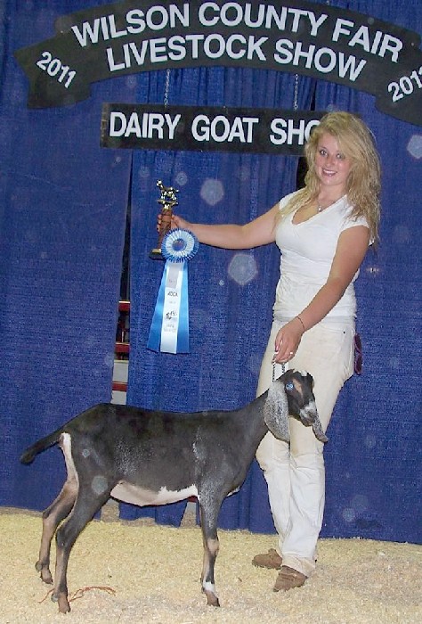 Wingwood Farm TC Ariel